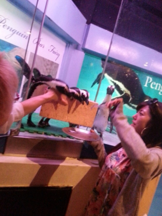 Illustration for article titled Japan Has Too Many Penguin Bars